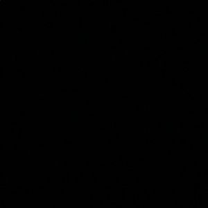 Meet your Posher, Lorie